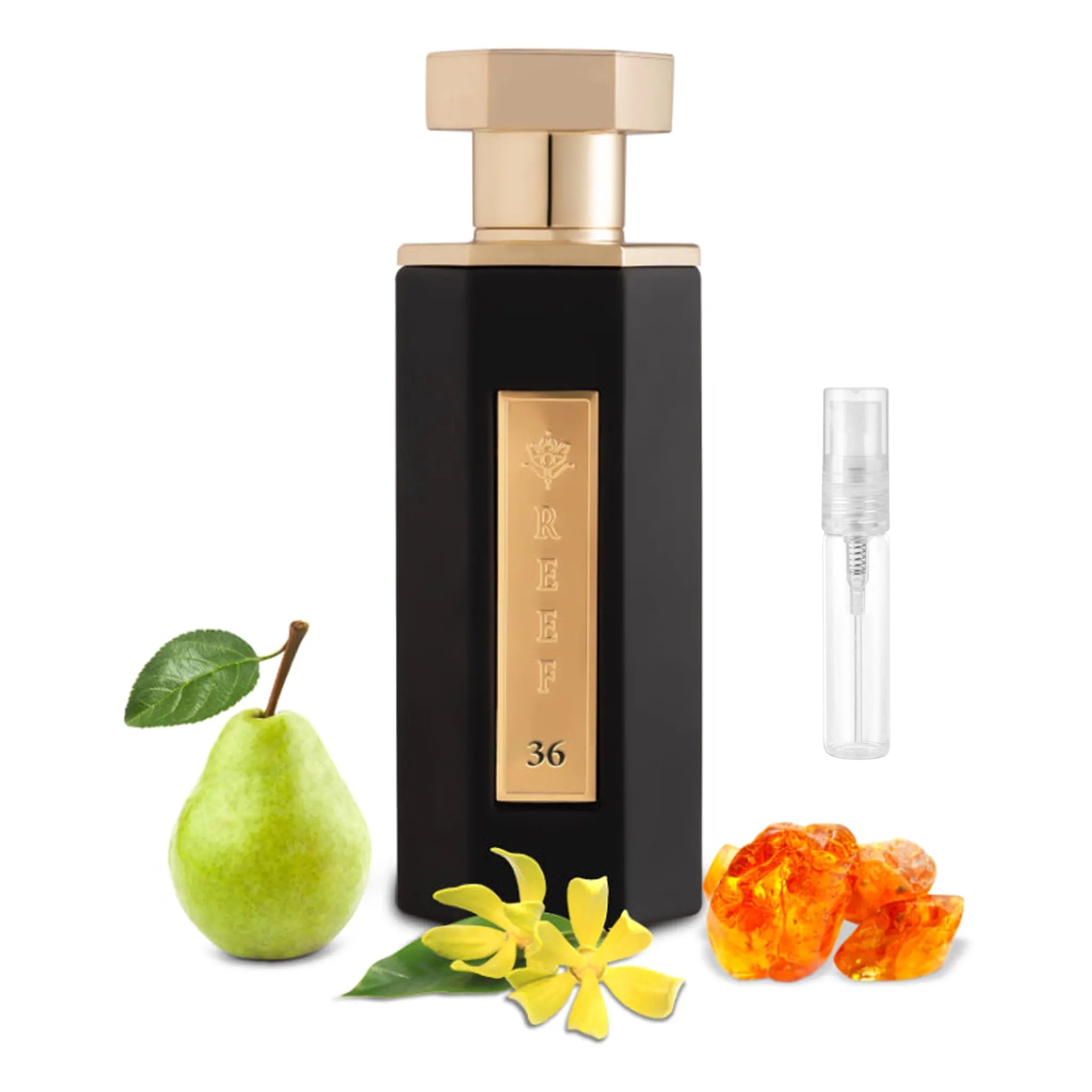 Front View of REEF 36 Eau De Parfum SAMPLE