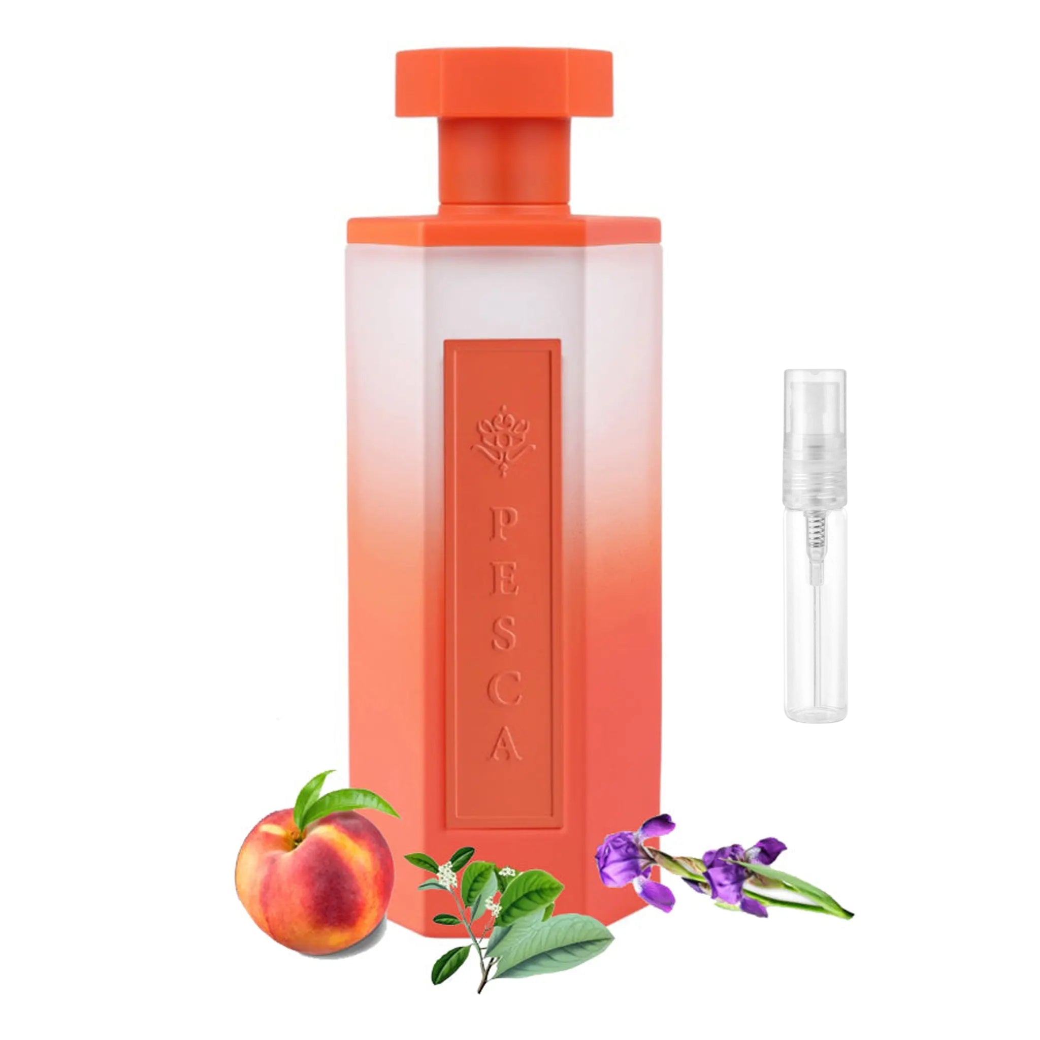 Front View of REEF Pesca Eau De Parfum SAMPLE