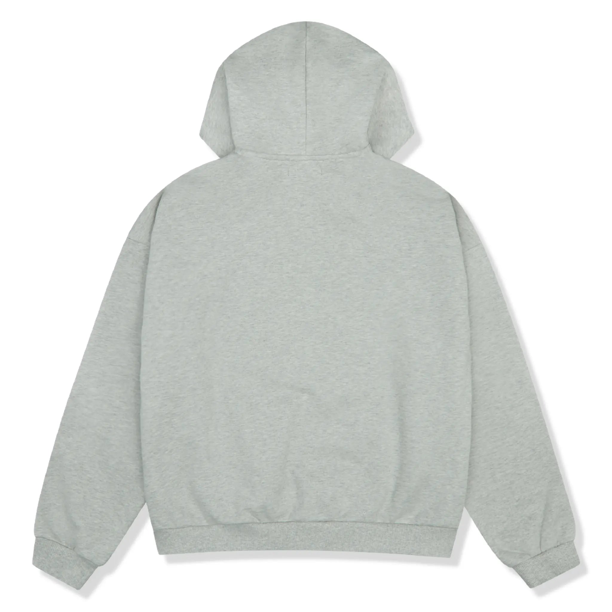 Back view of Broken Planet Ash Heather Grey Zip-Up Hoodie