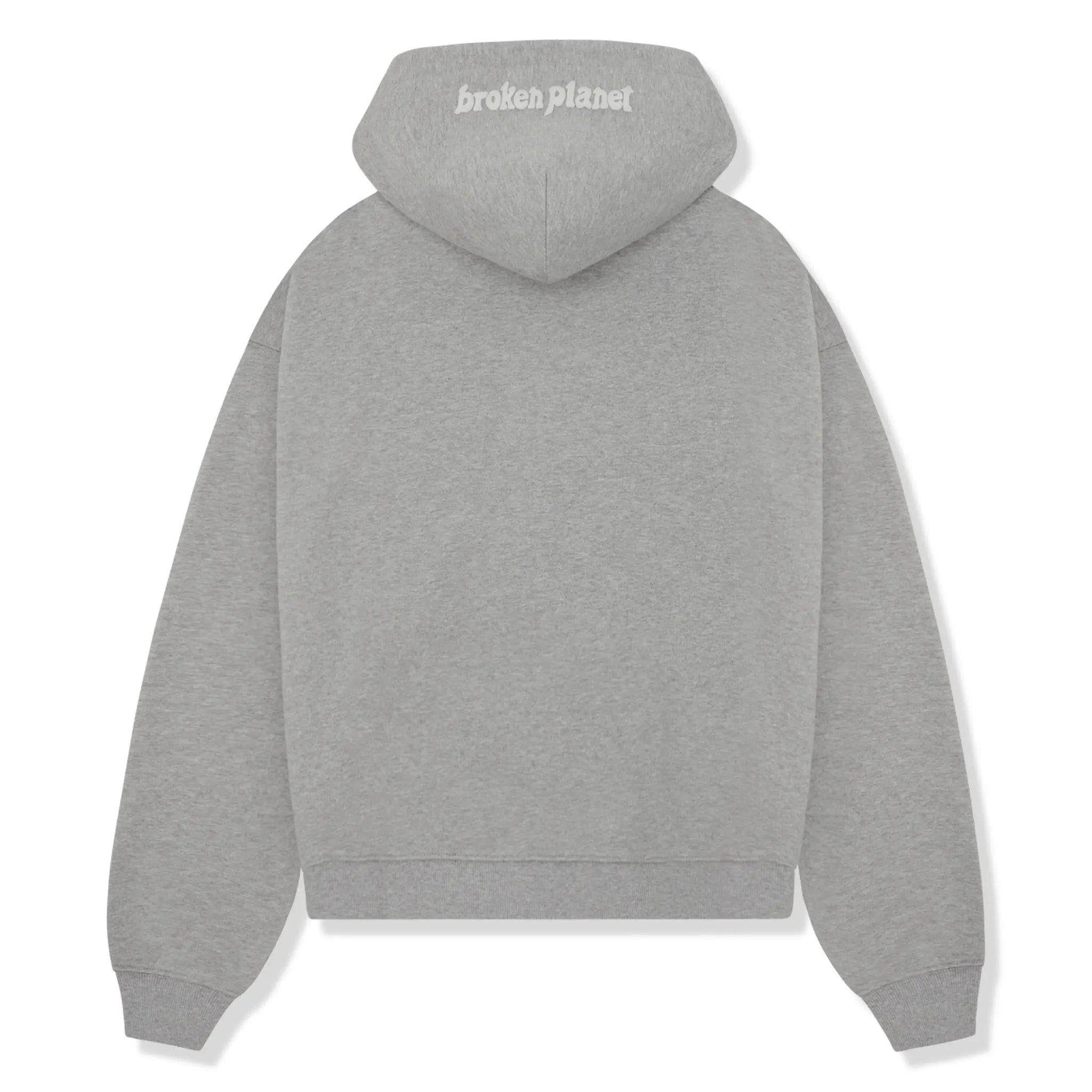 Back view of Broken Planet Zip-Up Heather Grey Hoodie
