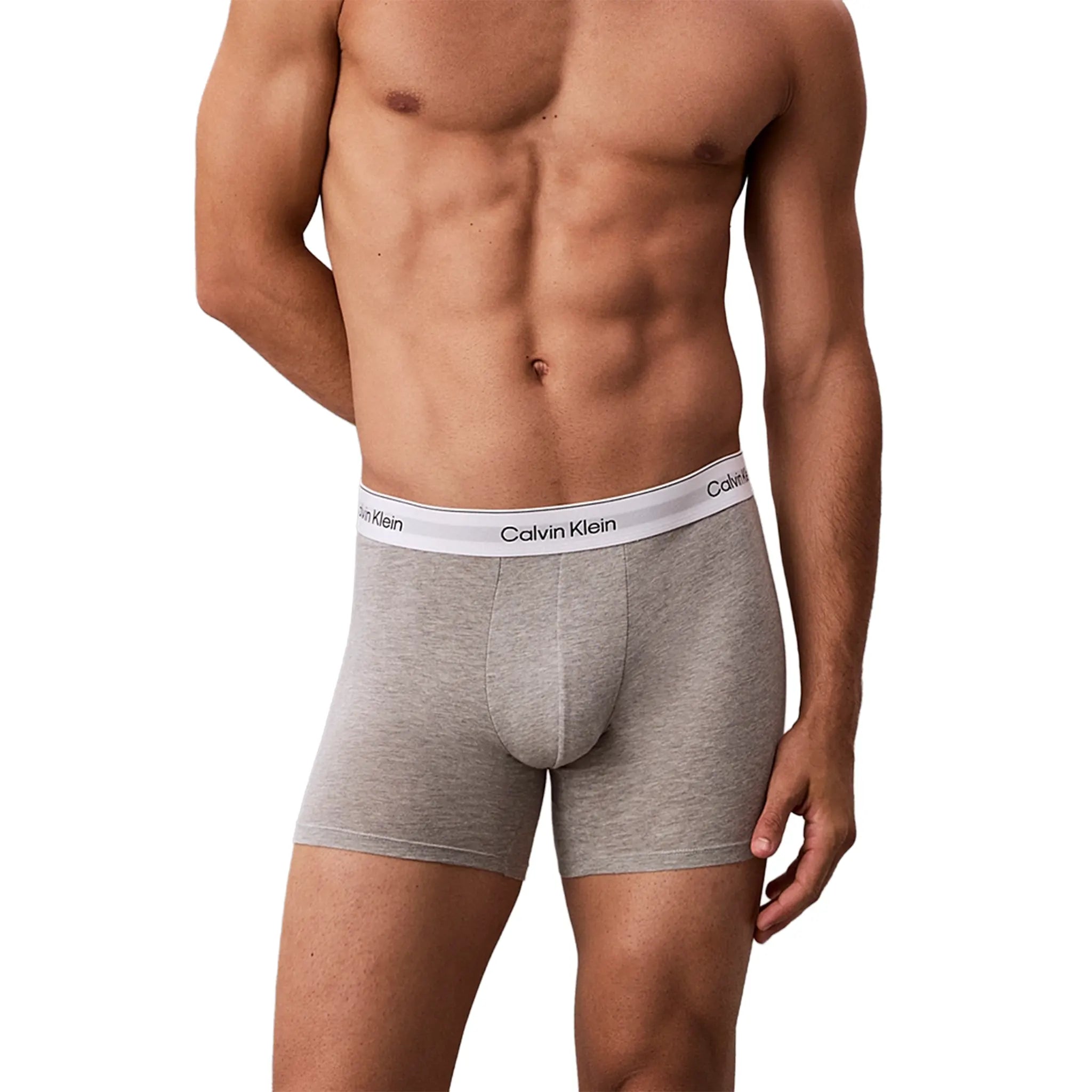 Calvin Klein White Black Grey Boxer Briefs Three Pack