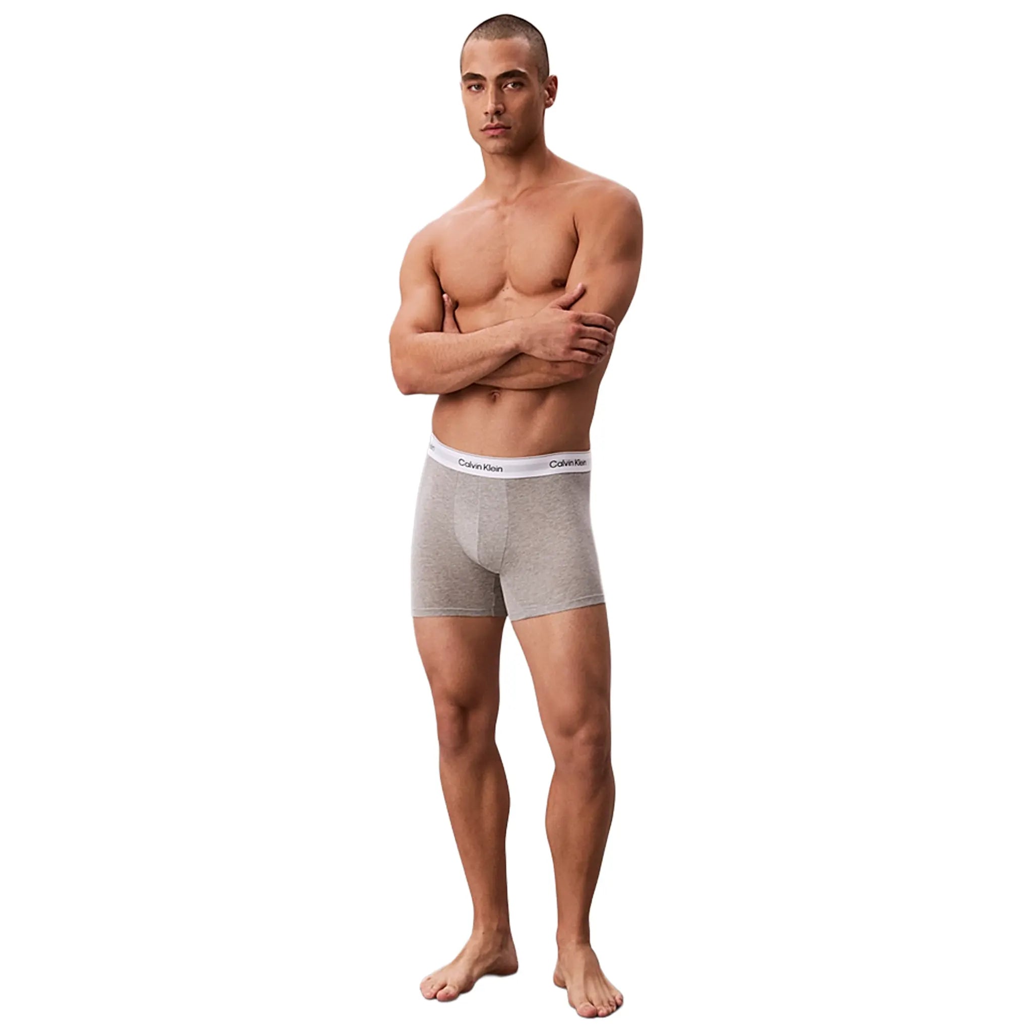 Calvin Klein White Black Grey Boxer Briefs Three Pack