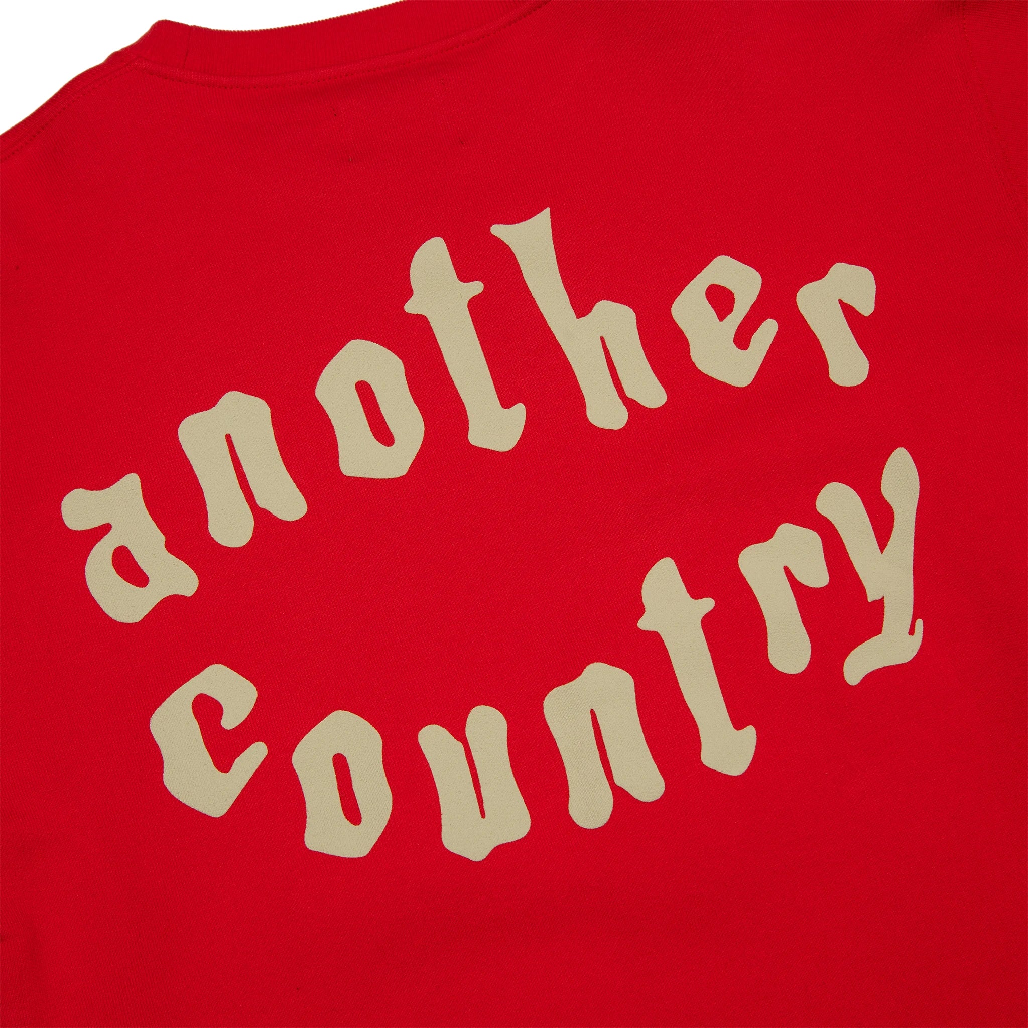 Back detail view of Denim Tears x CPFM Cactus Tears Red Sweatshirt