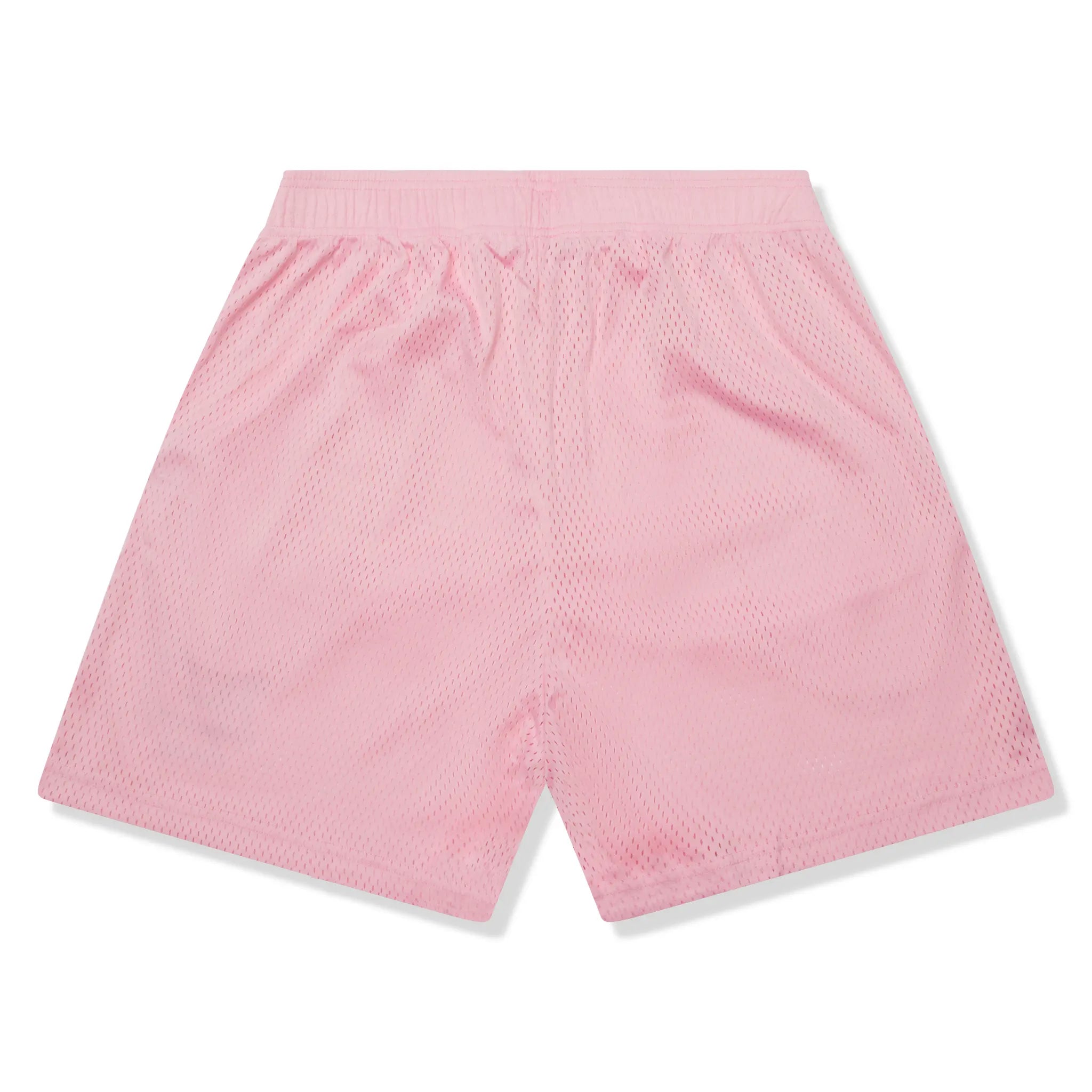 Back View of Eric Emanuel EE Basic Core Rose Quartz Baby Blue Shorts (SS21)