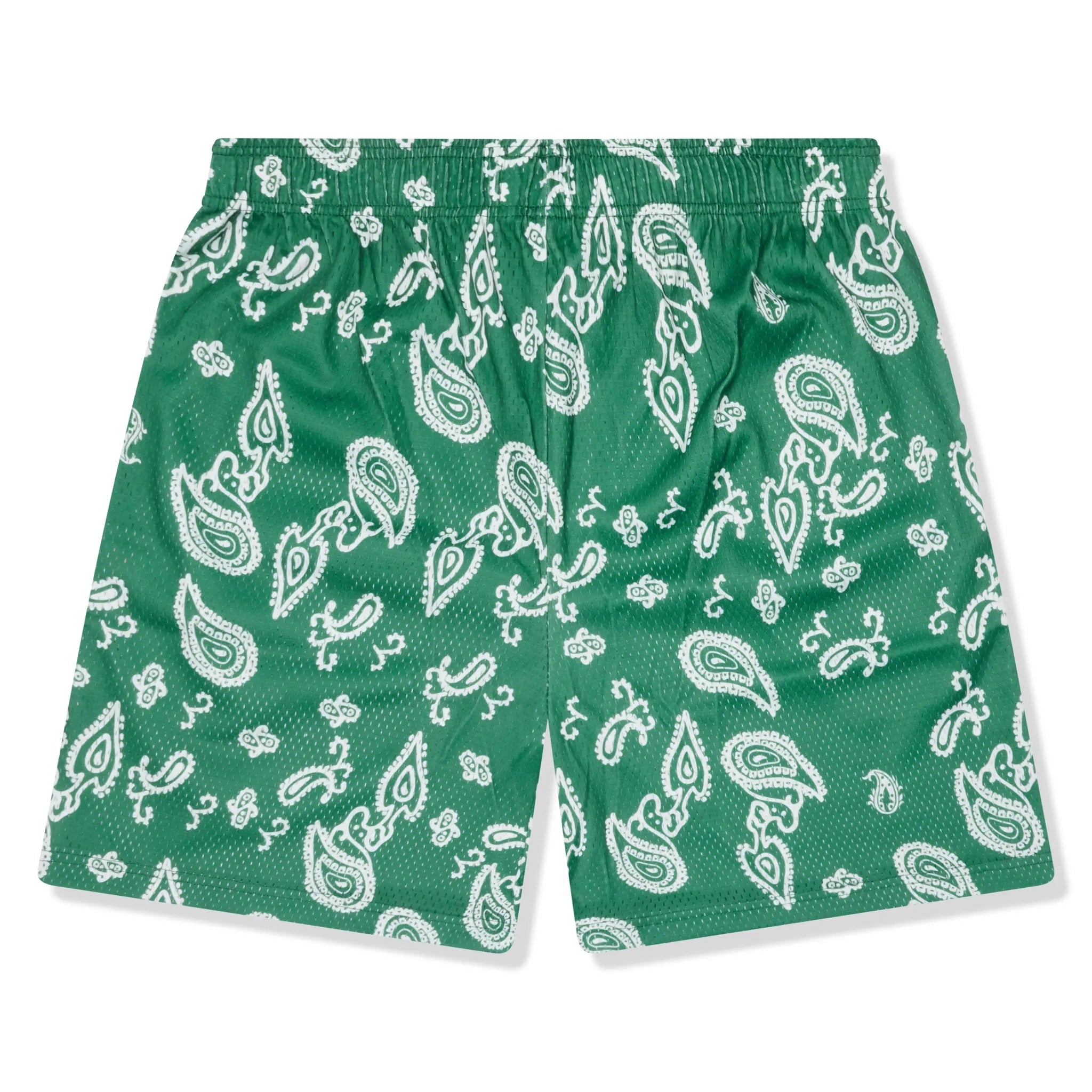 Back View of Eric Emanuel EE Basic Green Paisley Shorts