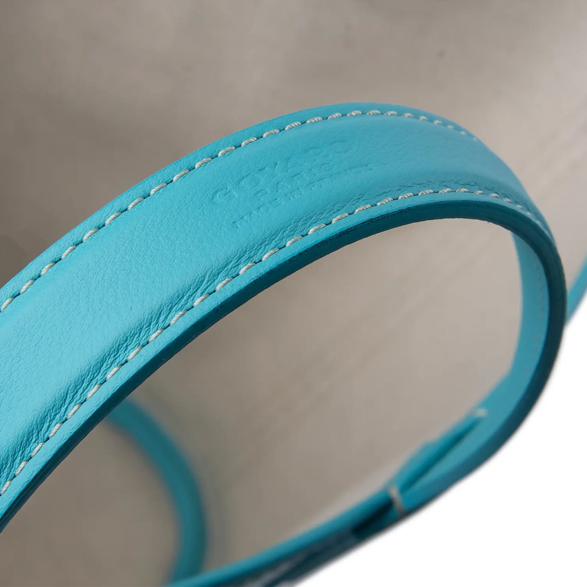 Detail view of Goyard Belharra Turquoise PM Tote Bag BELHARPMLTY11CL11P