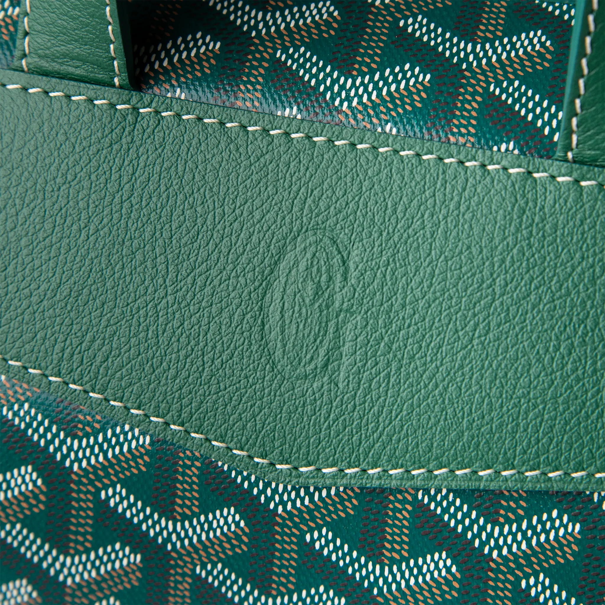 Logo view of Goyard Green Cisalpin Backpack