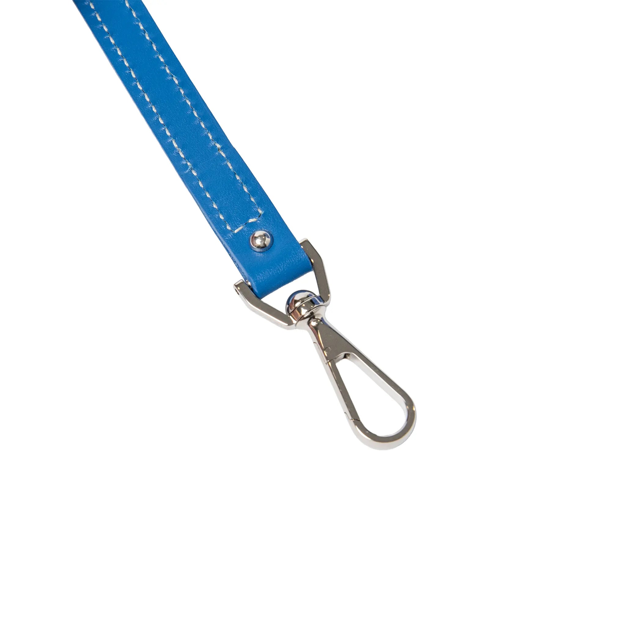 Detailed View of Goyard Muse Nano Sky Blue Vanity Bag MUSEVANANTY10CL10P