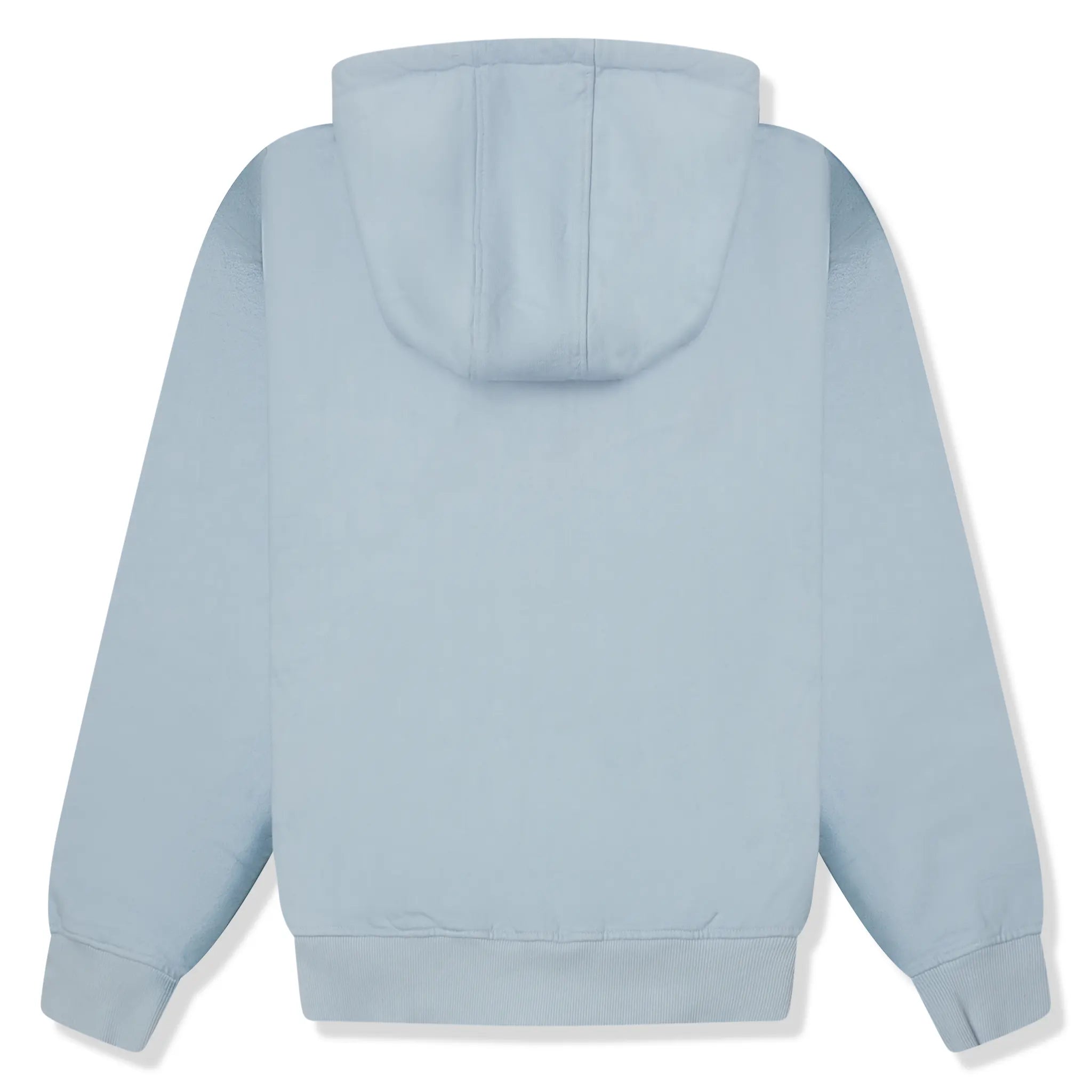 Back View of Last Lesson Sprayed Blue Hoodie