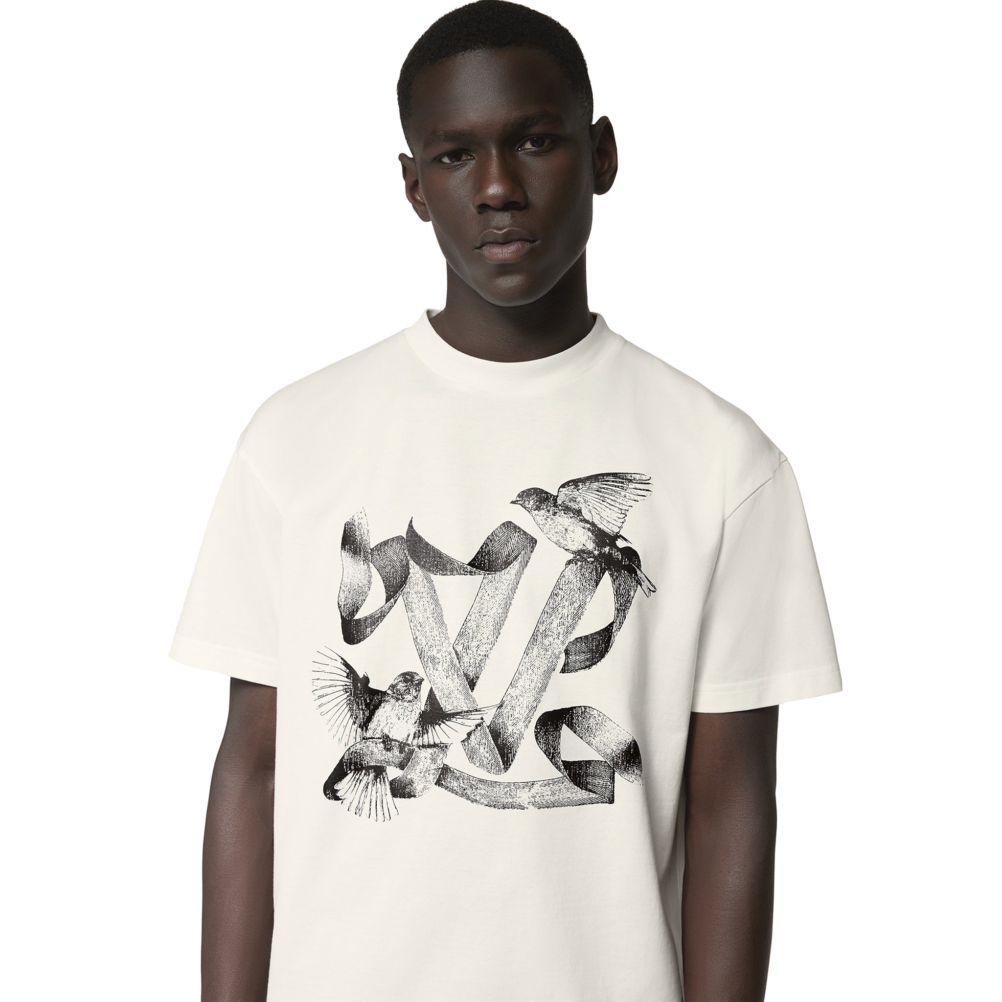 Model Front view of Louis Vuitton LV Birds Printed Cotton T Shirt White NVPROD4560001V