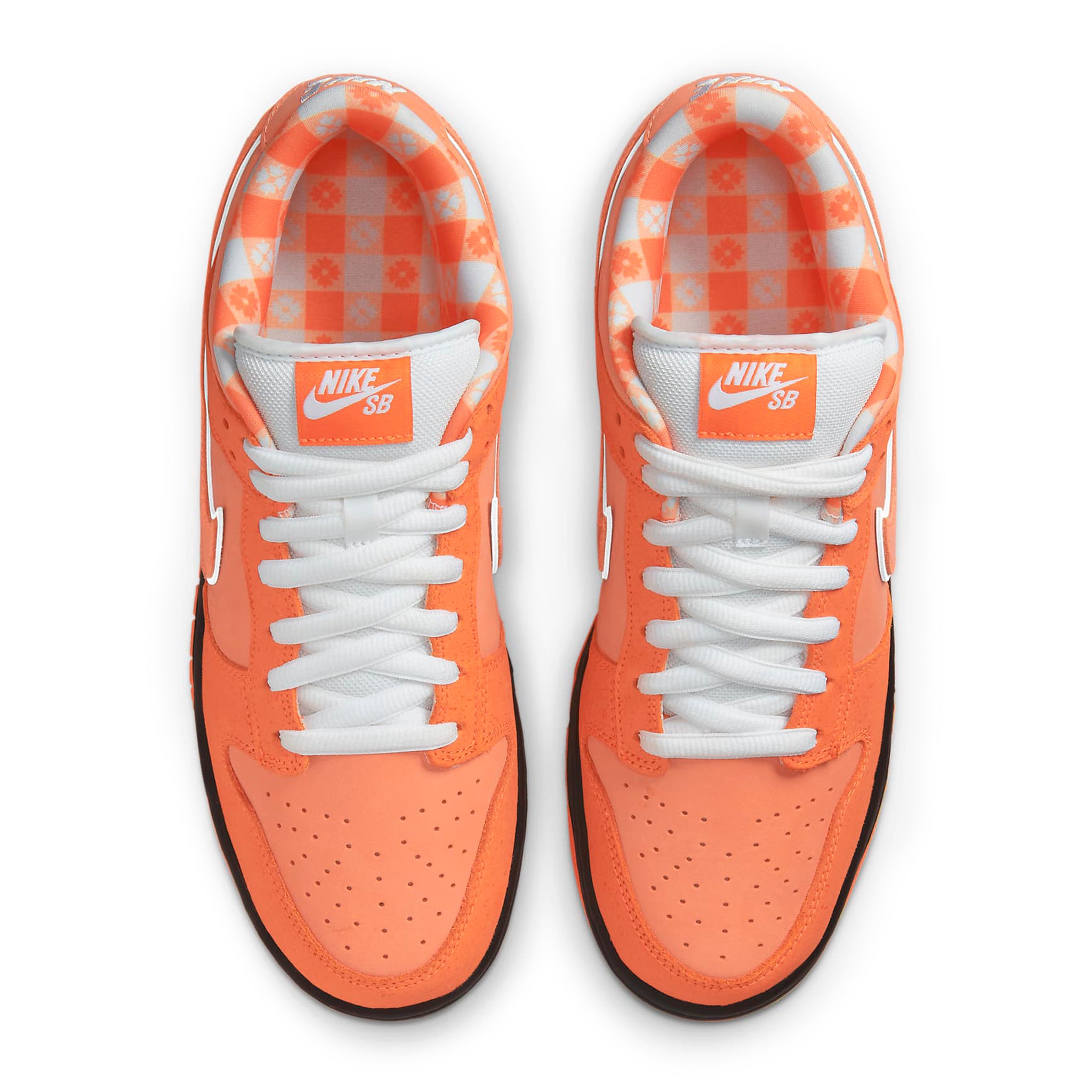 Top down view of Nike SB Dunk Low Concepts Orange Lobster FD8776-800