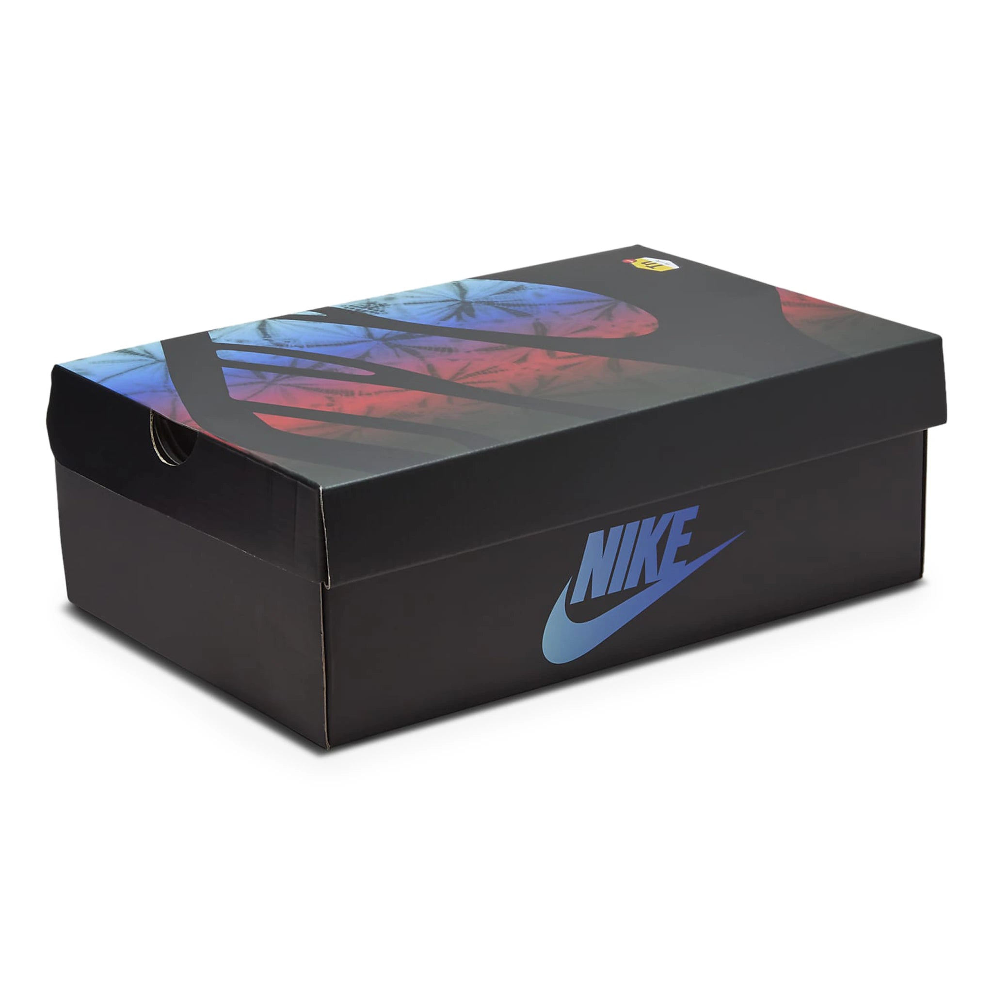 Box side view of Nike TN Air Max Plus 25th Anniversary FV0393-001 front