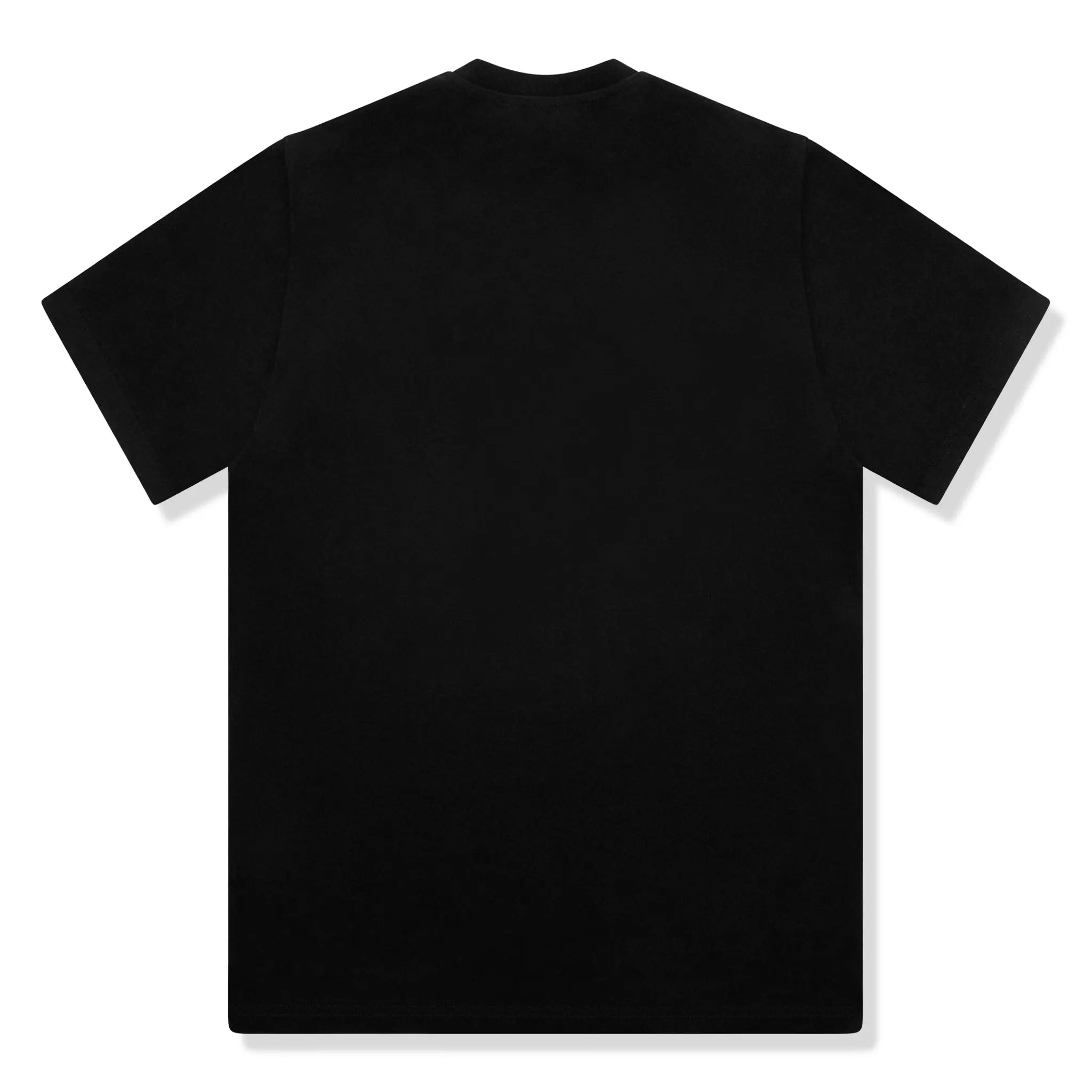 Back View of Pretty Boy Ugly World Black T-Shirt 13903350