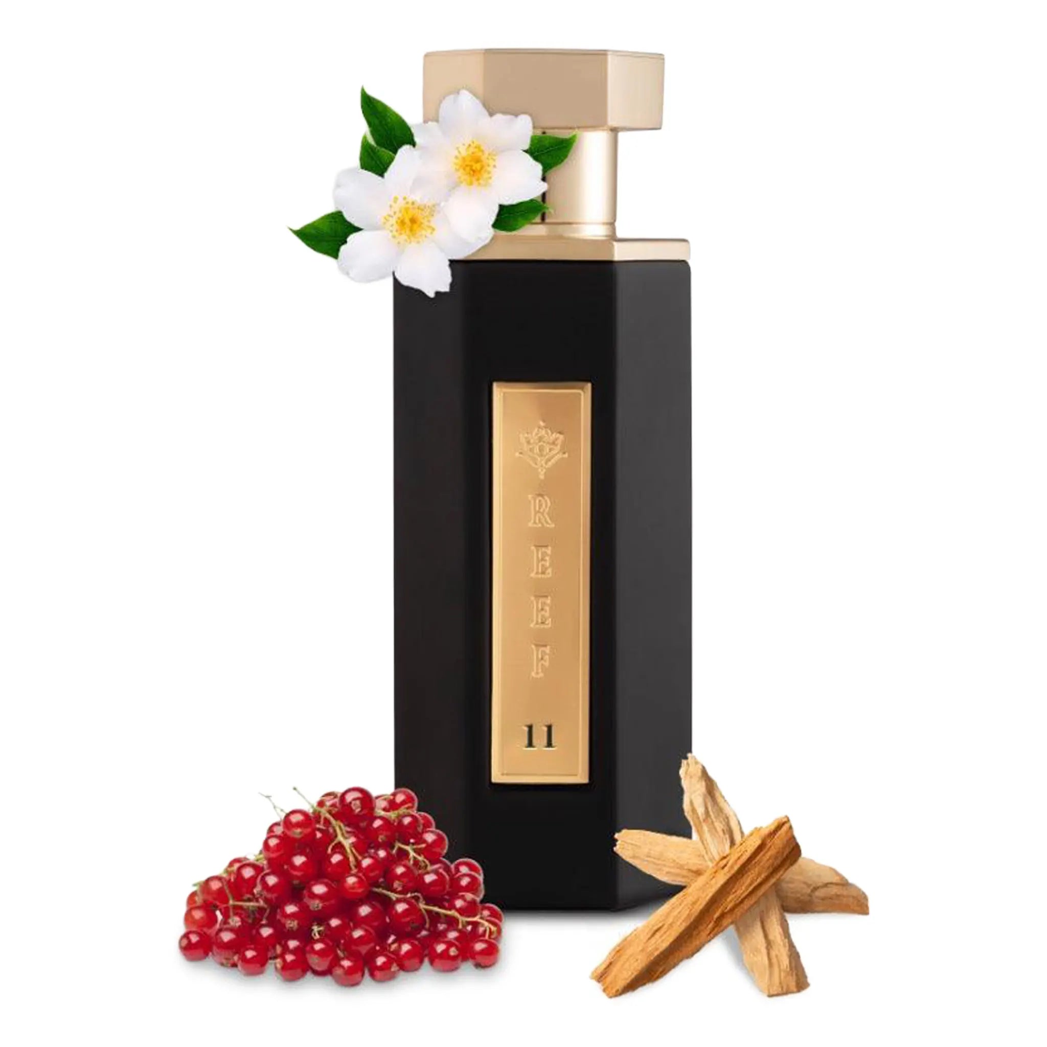 Front View of REEF 11 Classic Eau De Parfum 100ml