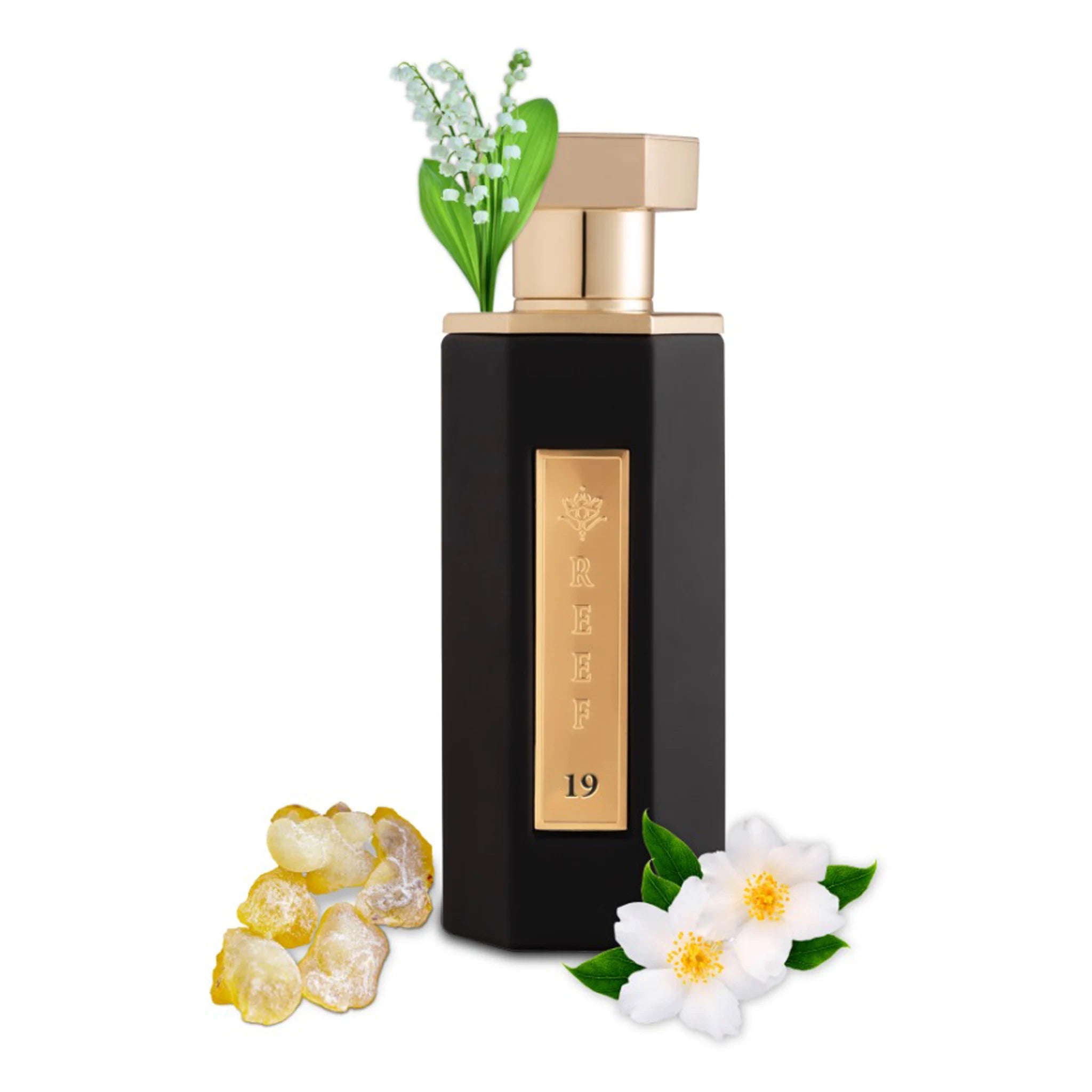 Front view of REEF 19 Eau De Parfum 100ml