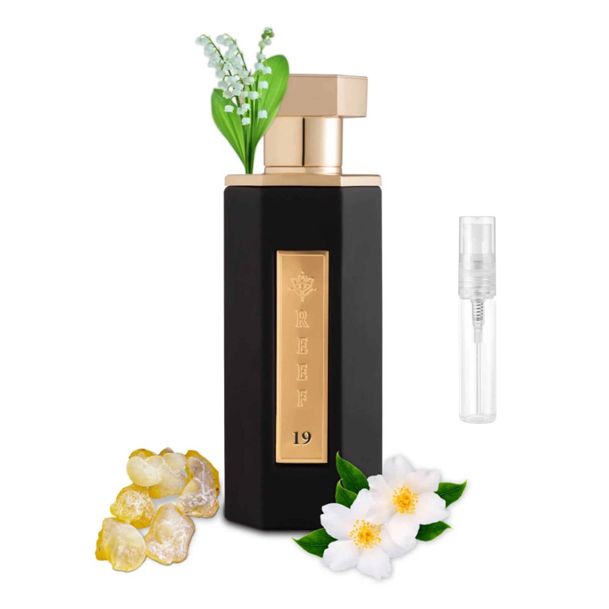 Front view of REEF 19 Eau De Parfum SAMPLE - 2ml