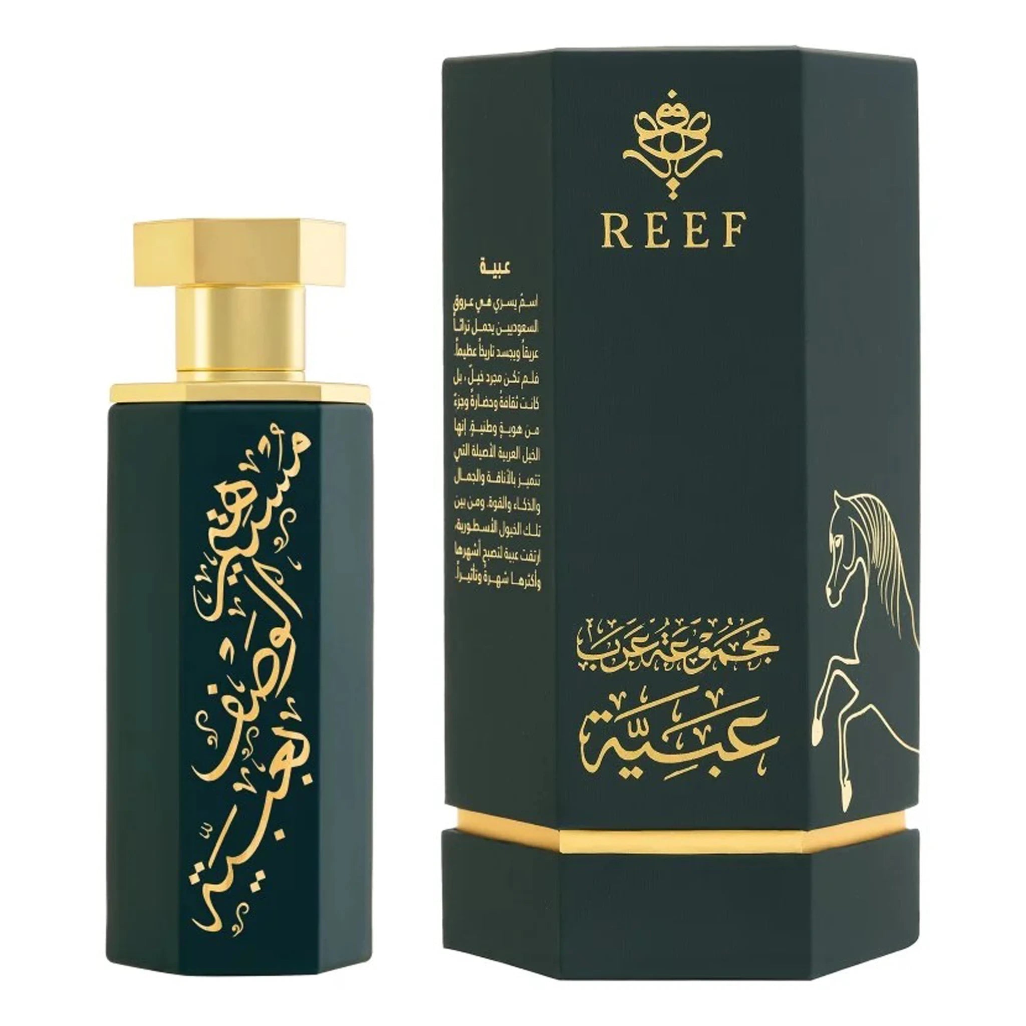 Back Box view of REEF Arabs of Obaiah Eau De Parfum 100ml