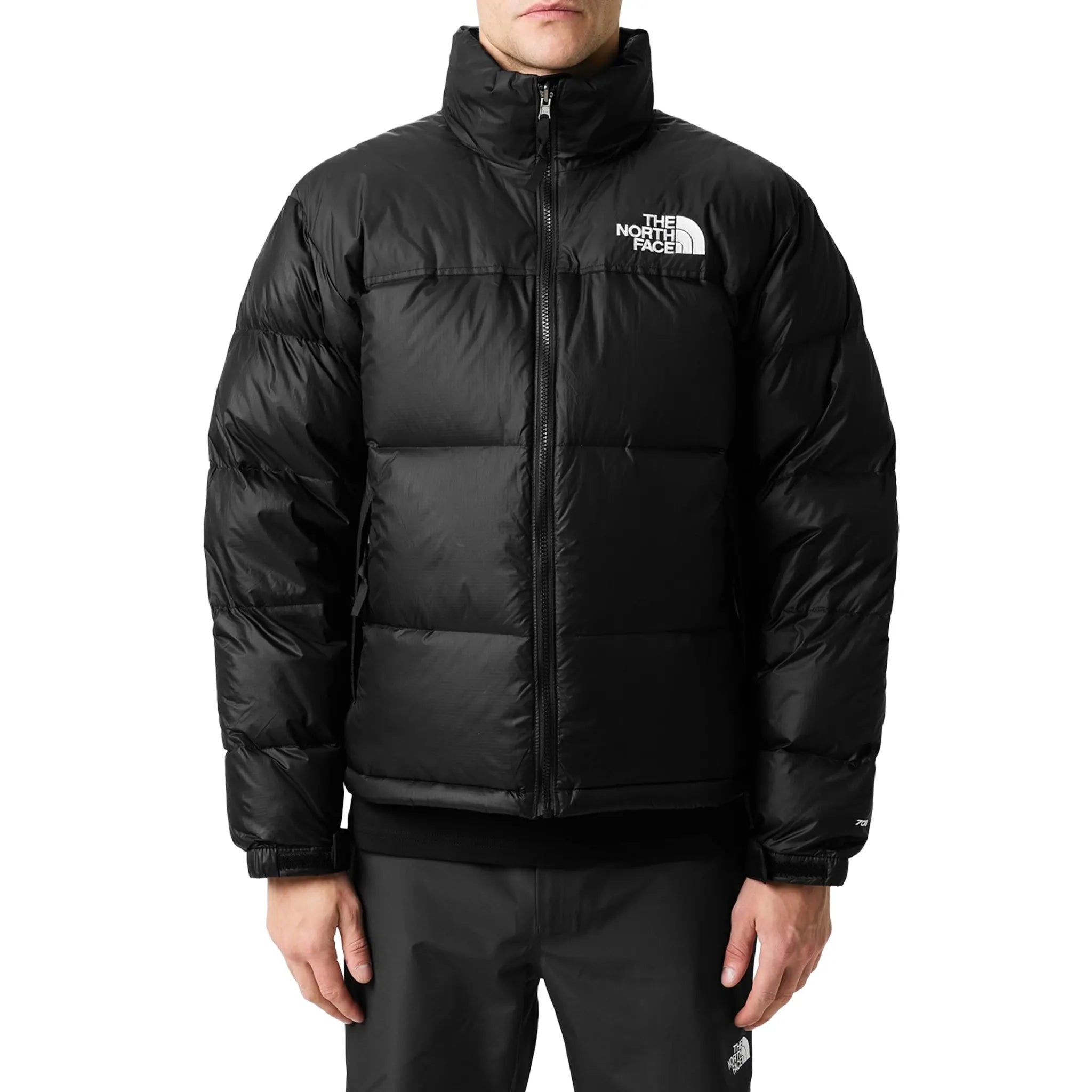 Model Front View of The North Face 1996 Retro TNF Black Jacket