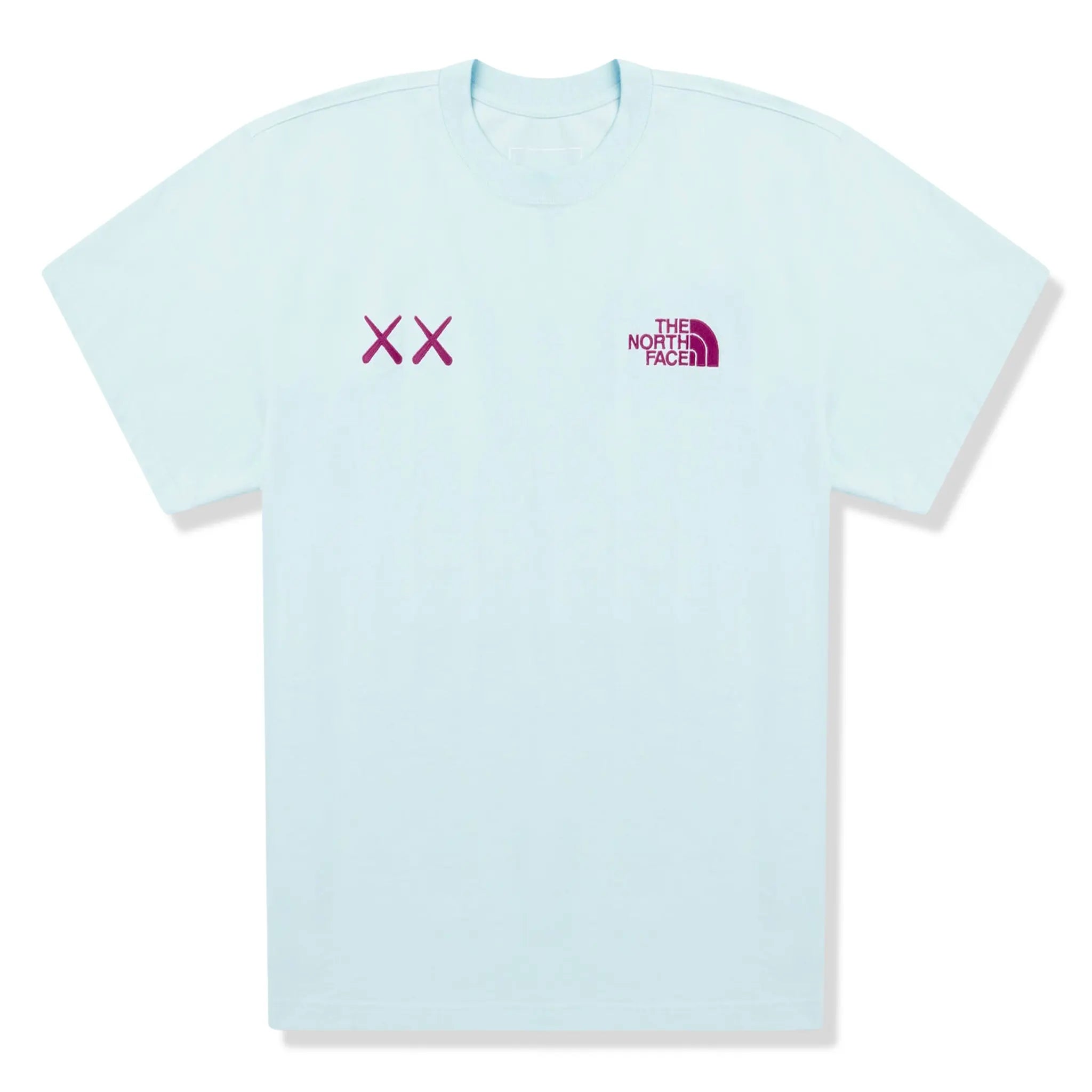 Front View of The North Face x Kaws Iced Blue T Shirt NF0A7WLL0UF