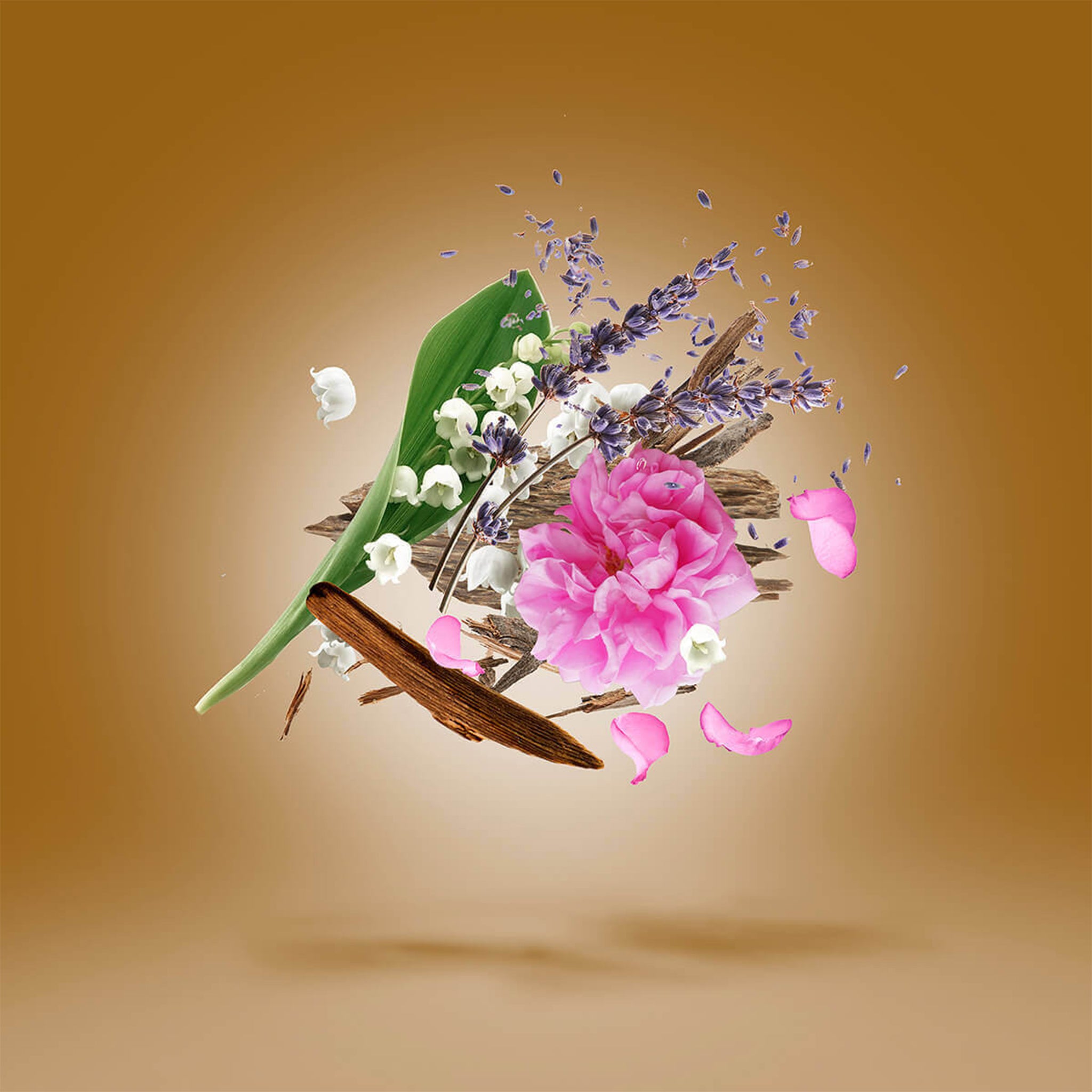 Scent view of Xerjoff Alexandria II Eau De Parfum 50ml