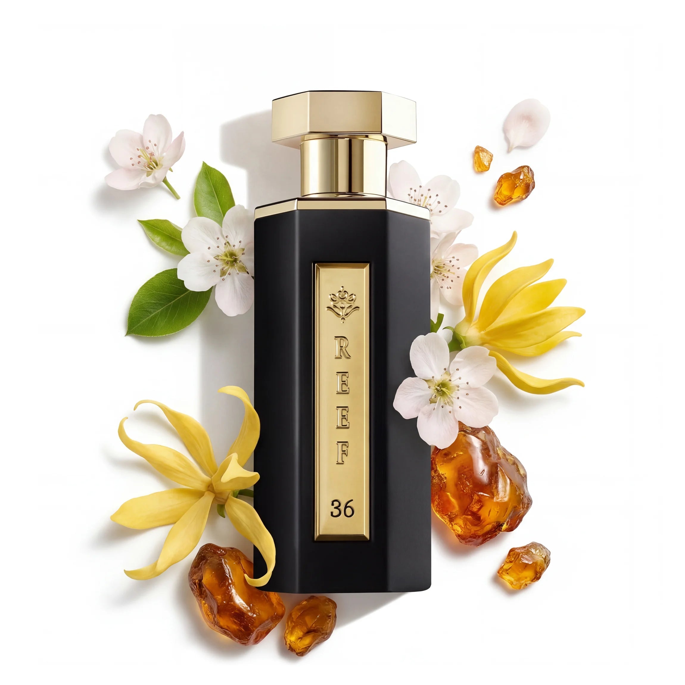 REEF 36 Eau De Parfum 100ml