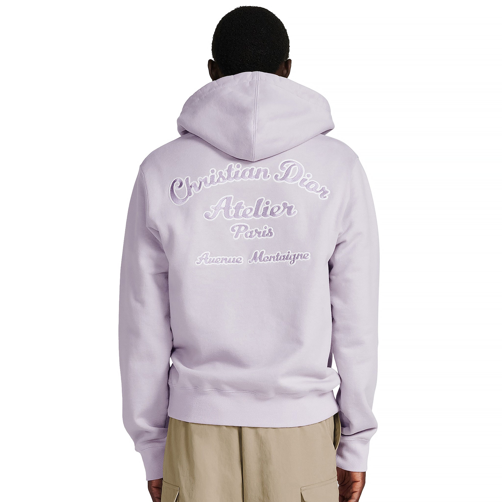 Back Model view of Dior 'Christian Dior Atelier' Mauve Hoodie front