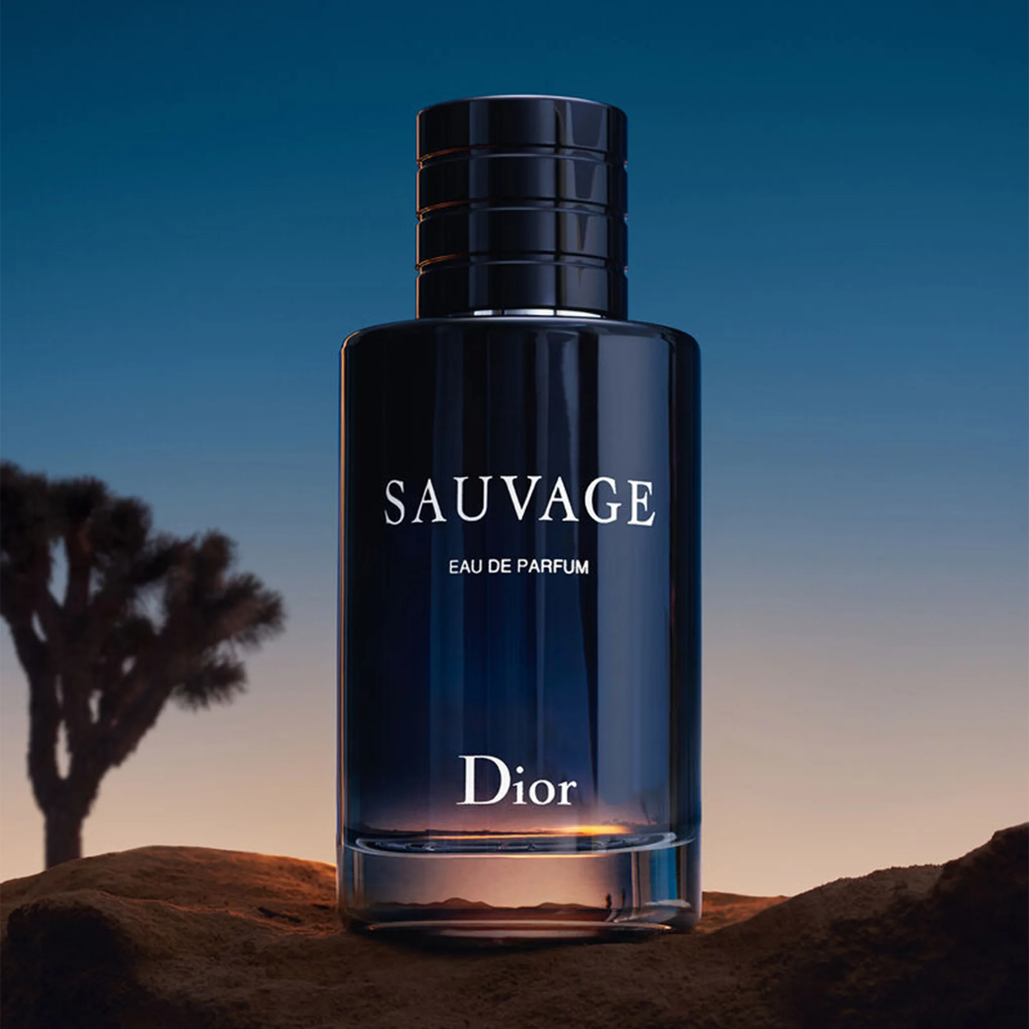 Bottle view of Dior Sauvage Eau De Parfum 100ml 