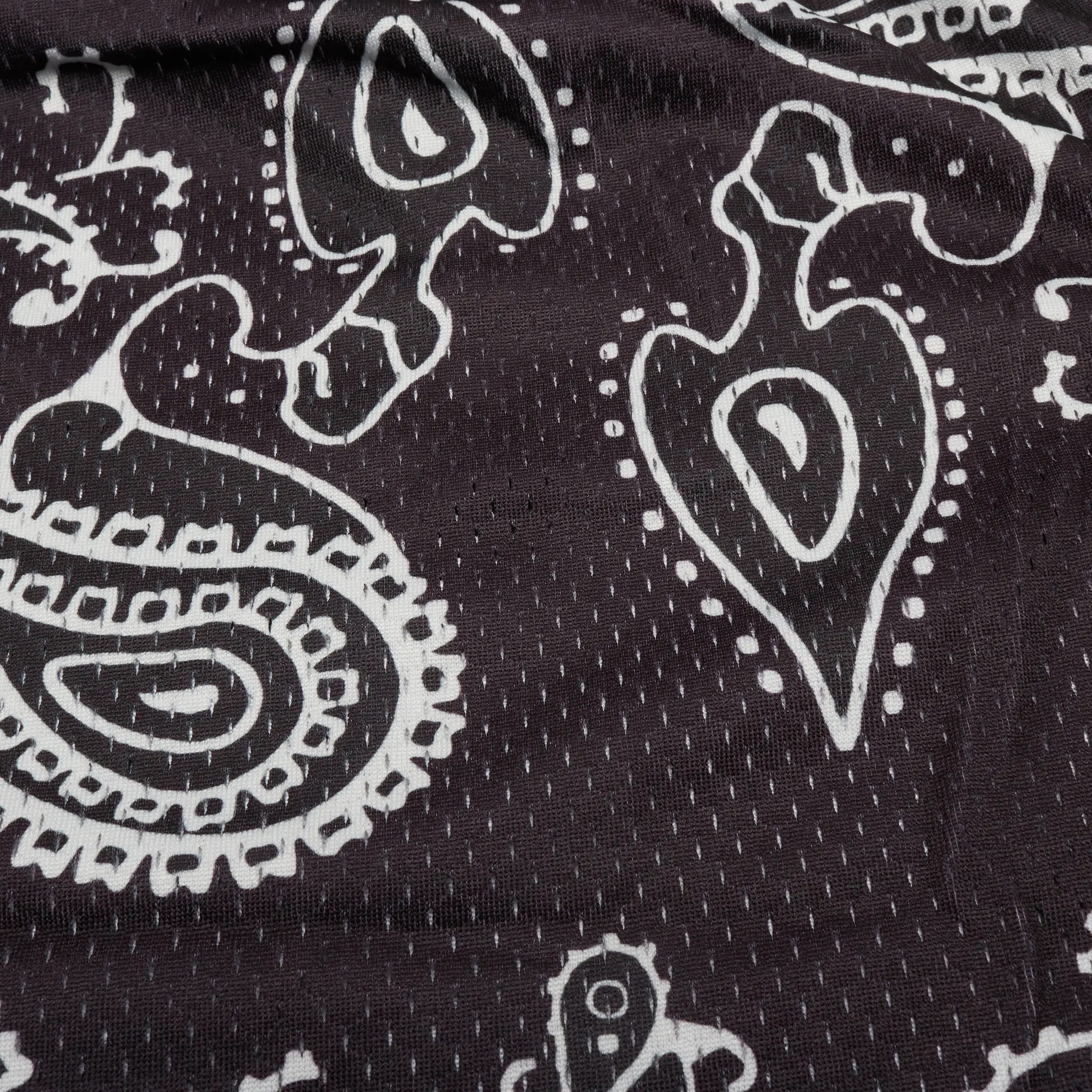 Detailed View of Eric Emanuel EE Basic Black Paisley Shorts