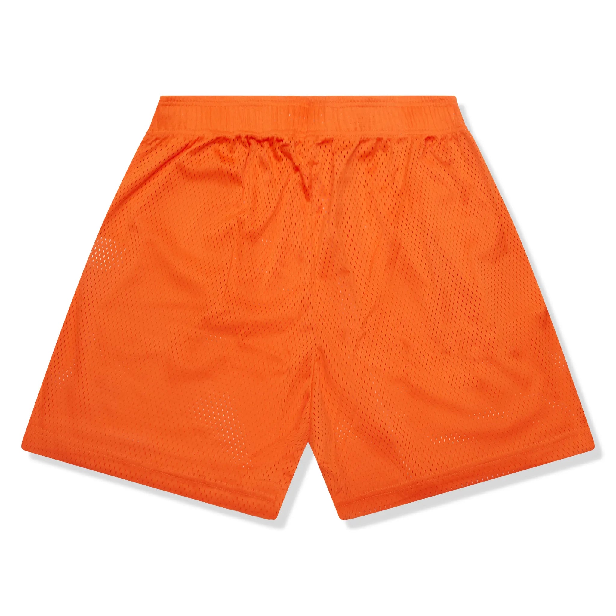 Back View of Eric Emanuel EE Basic Orange Shorts (FW22)