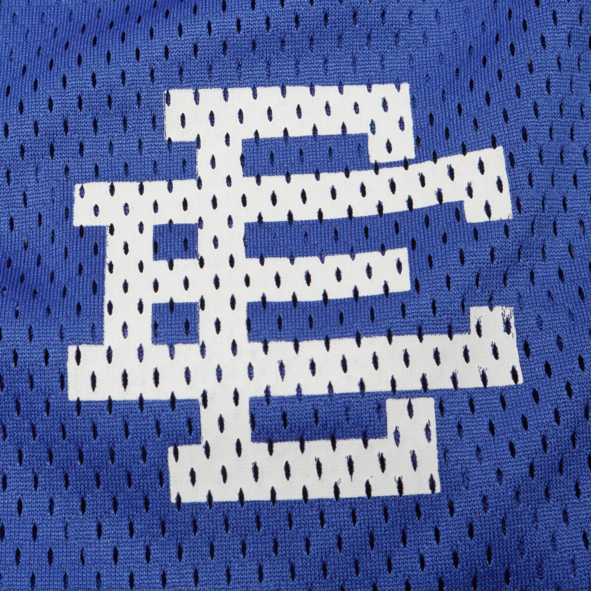 Detailed View of Eric Emanuel EE Basic Royal Blue White Shorts (SS25)
