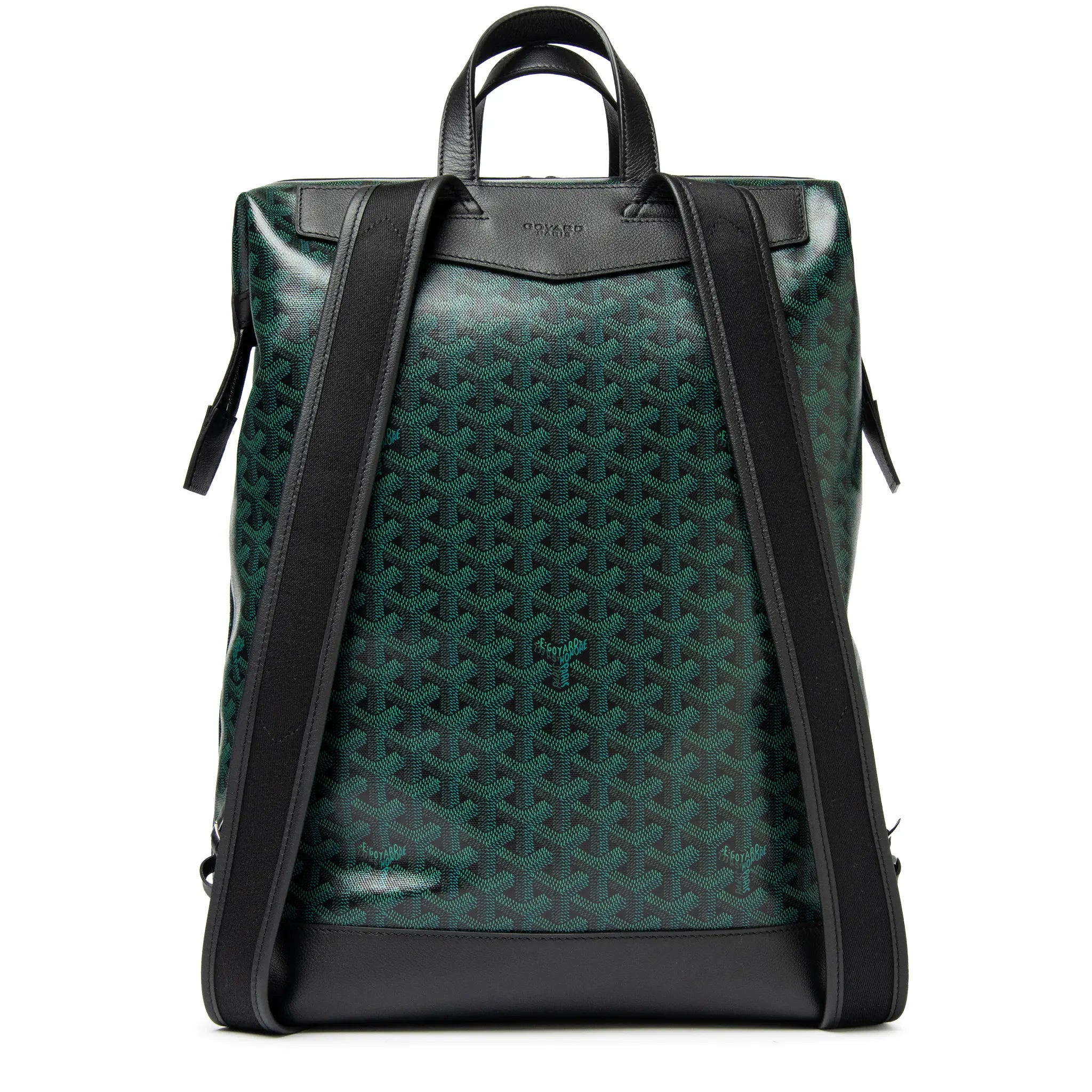 Back View of Goyard Cisalpin Evergreen Backpack CISALPMMLTY79CL79P
