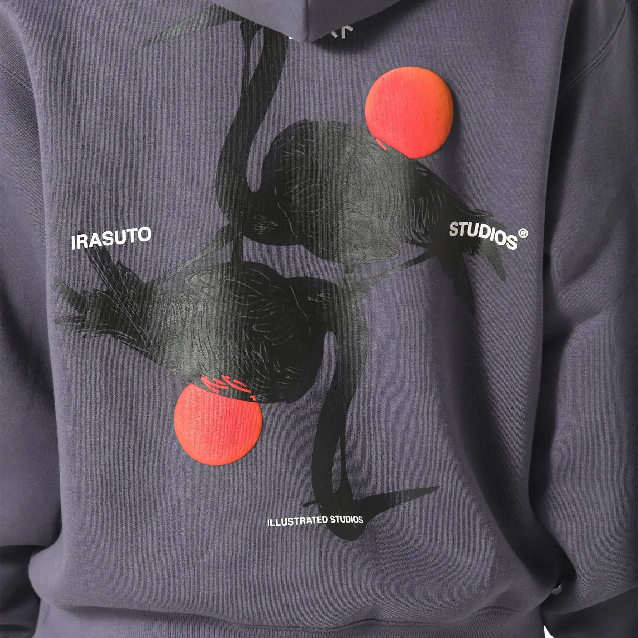 Detailed View of Irasuto Studios Crane Sea Blue Hoodie 5060615209880