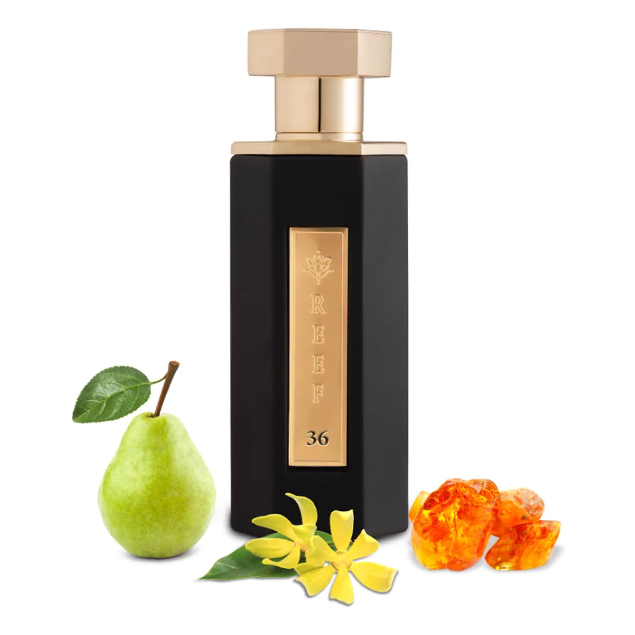 Front View of REEF 36 Eau De Parfum 100ml 