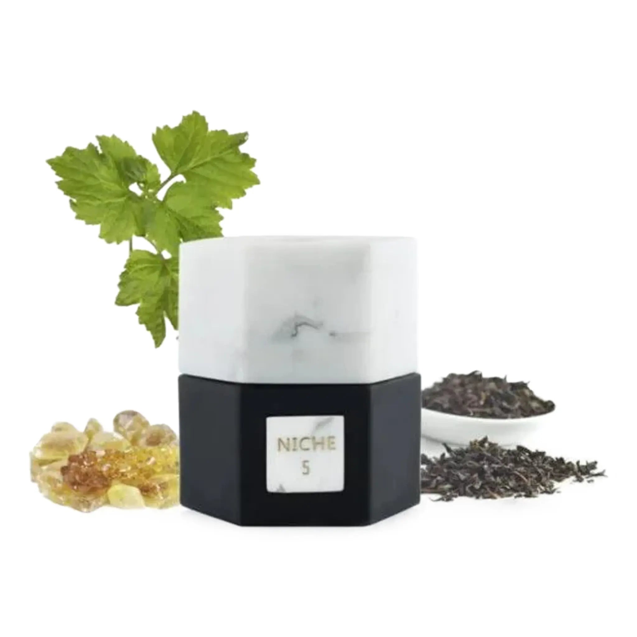 Front View of REEF Niche 5 Eau De Parfum 50ml