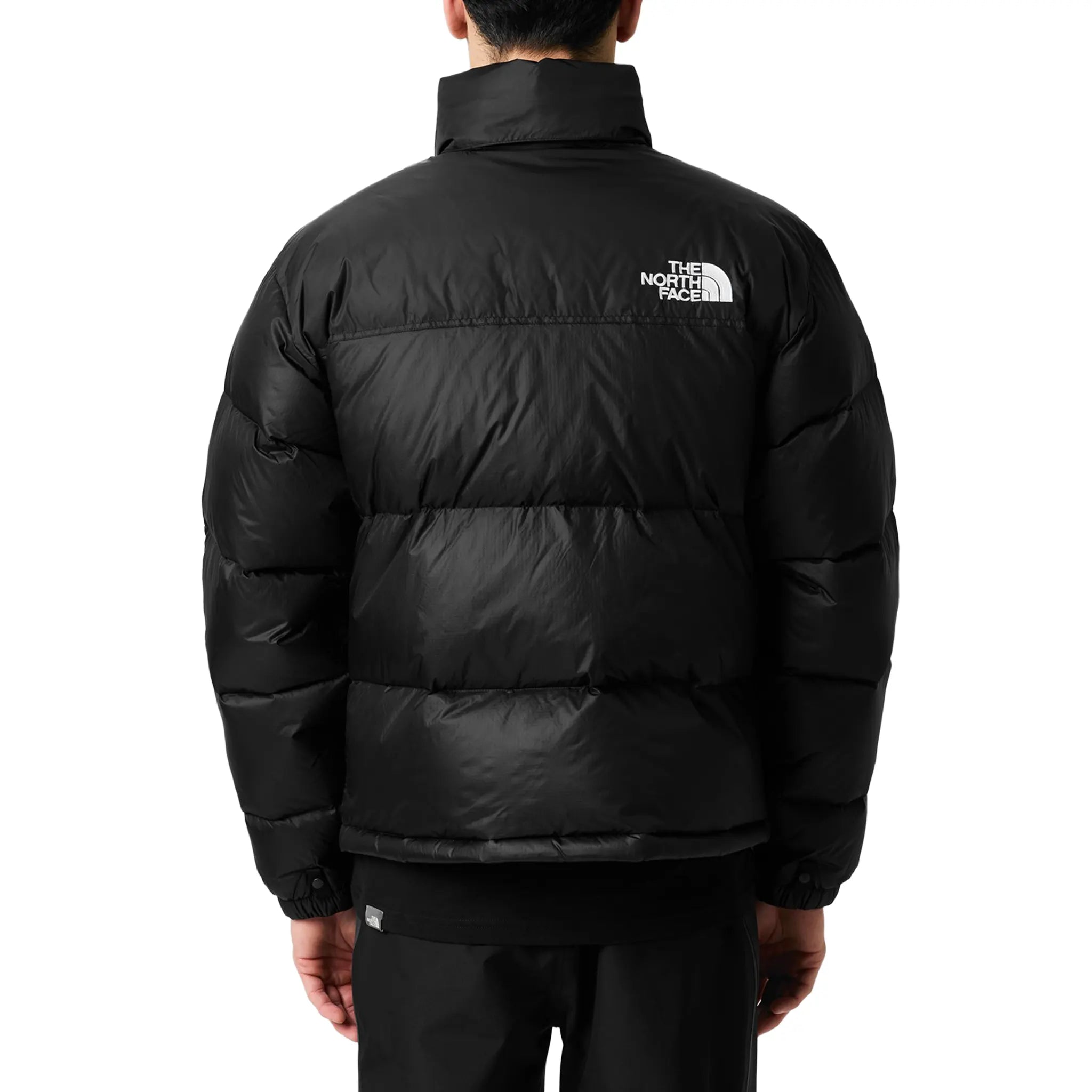 Model Back View of The North Face 1996 Retro TNF Black Jacket